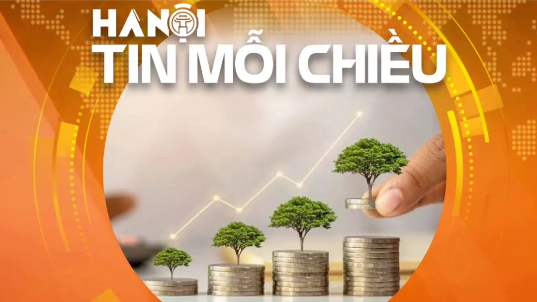 Việt Nam ở đâu trong bản đồ 'tín dụng xanh'? | Hà Nội tin mỗi chiều